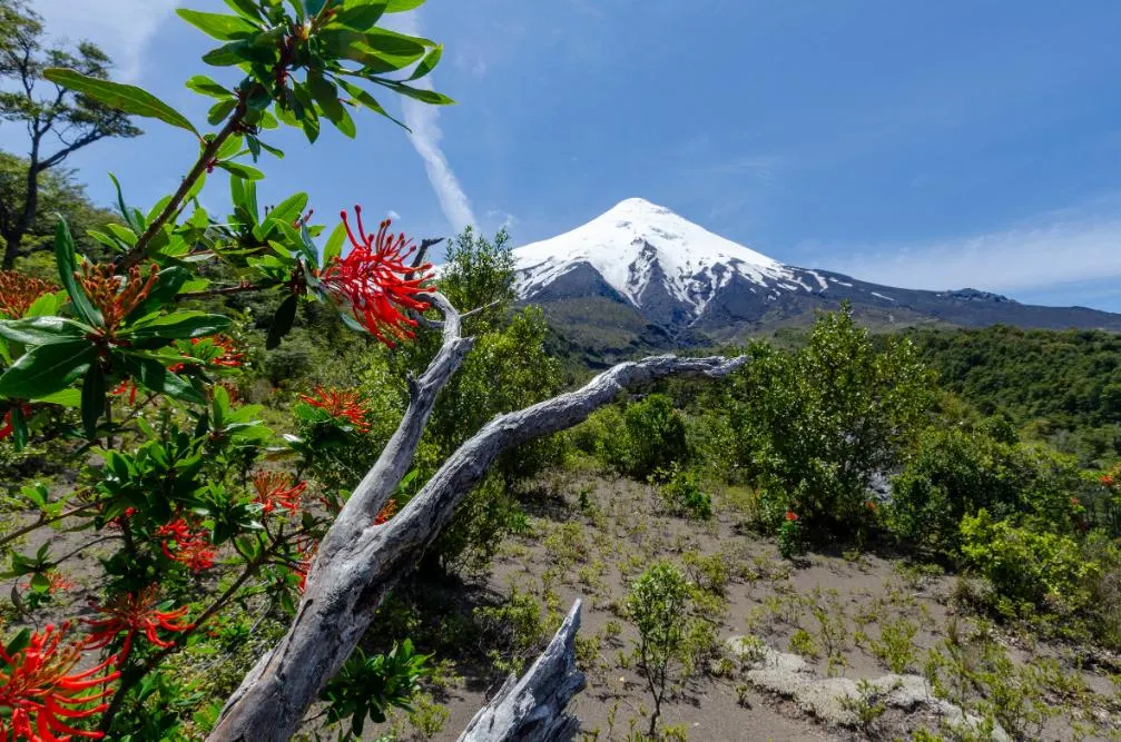 Patagonia Buenos Aires and Santiago Explorer