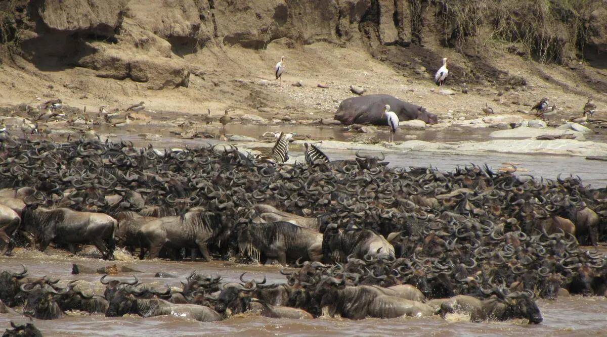 East African Explorer Private Journey