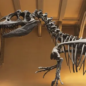 Dinosaur