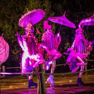 Lanterns & Light at Chester Zoo (November & December)