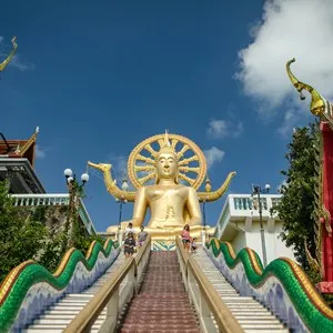 Best Time to Visit