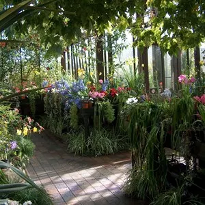 Glasgow Botanic Gardens