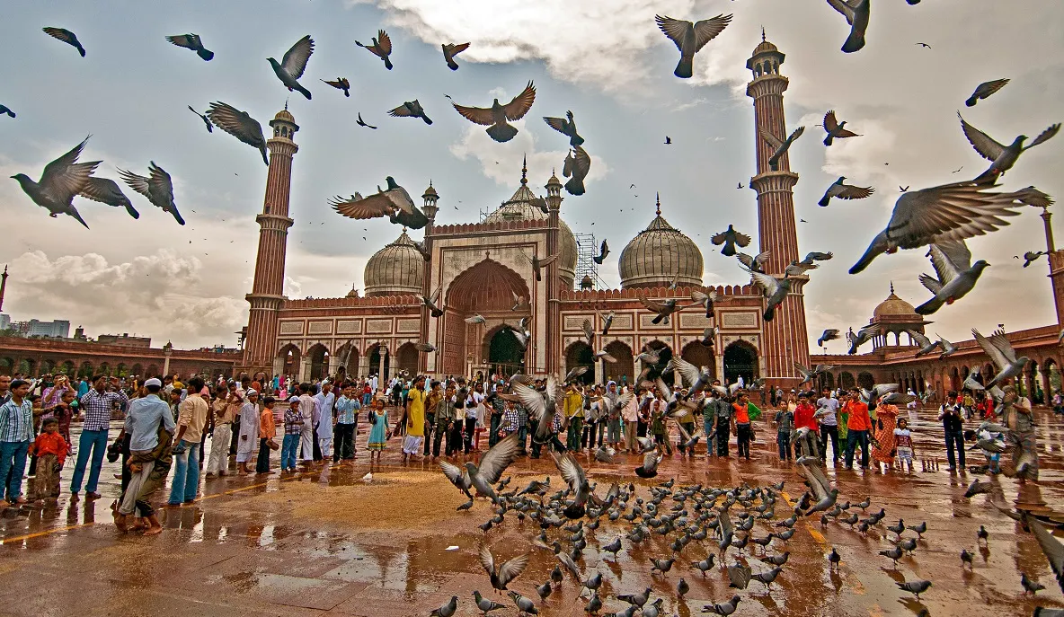 Magical India Family Adventure Private Journey