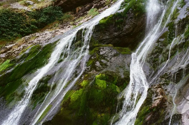 Private Journey to the Gardens of Ireland in Autumn