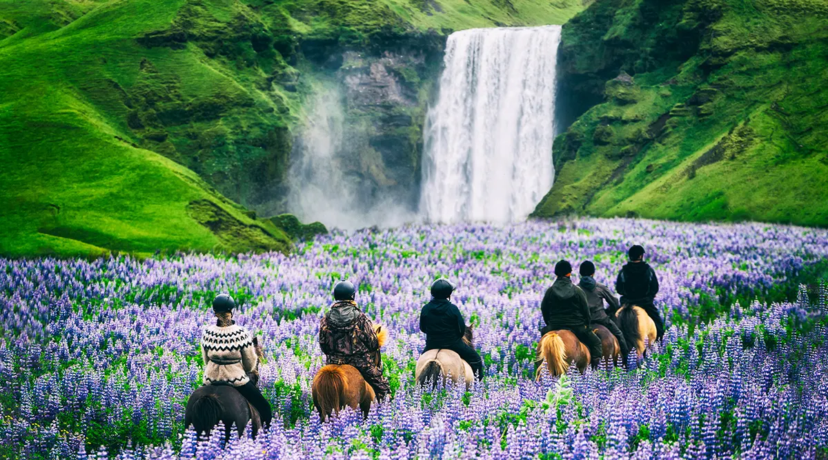 Iceland Summer Wellness Retreat