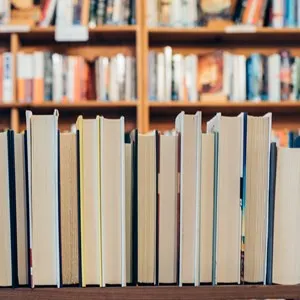 Dingle Bookshop