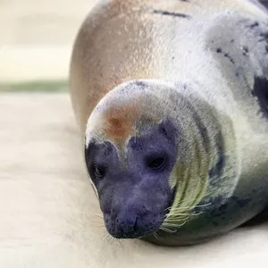 Biarritz Aquarium