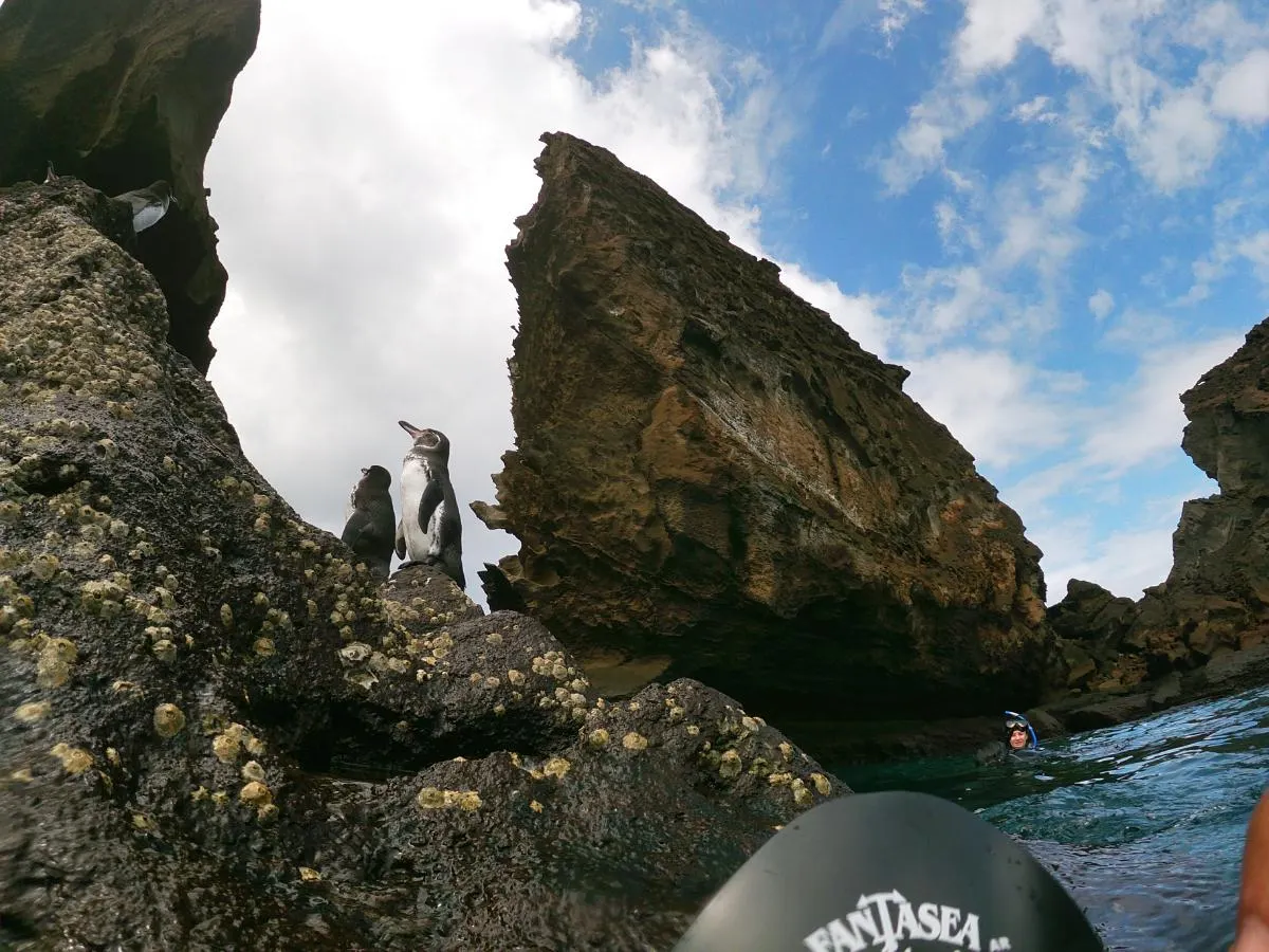 Southeastern Splendor and Secrets Cruise Aboard Galaxy Stella