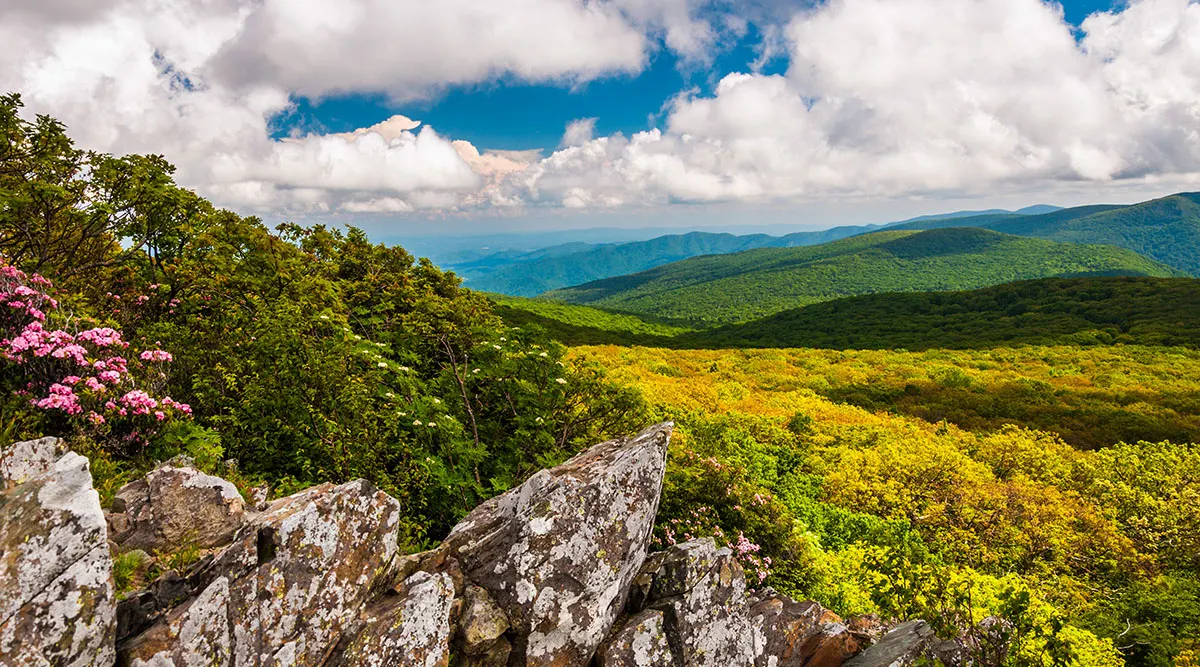 Virginia for Lovers Private Journey