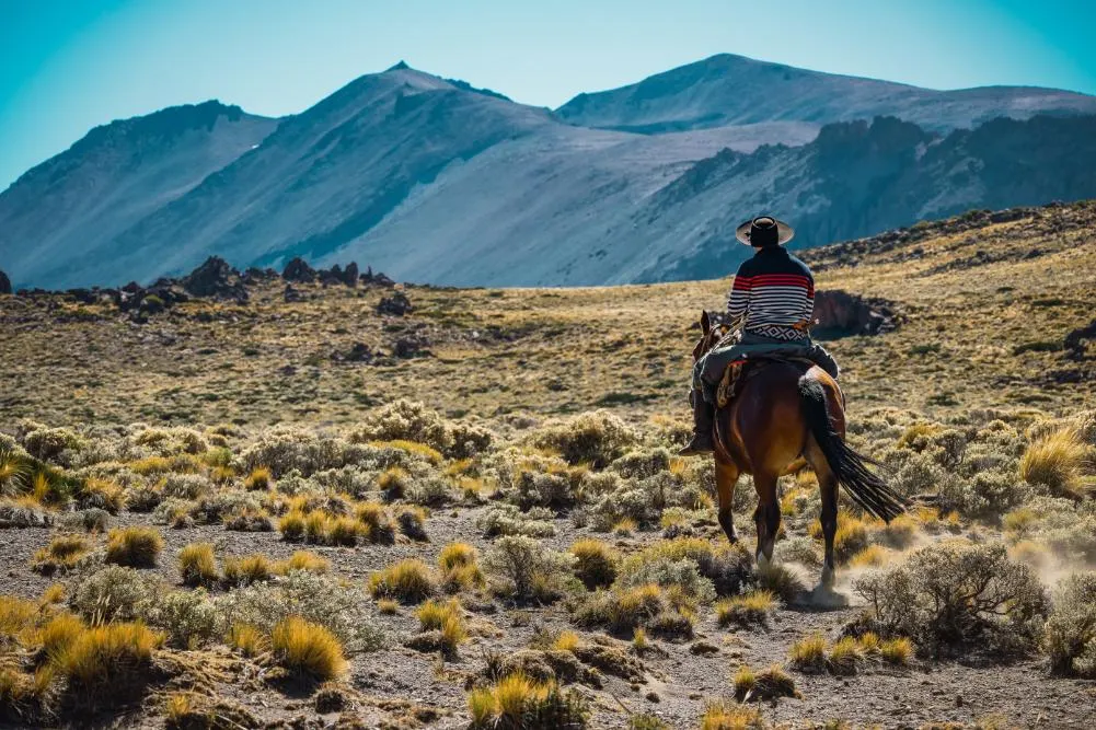 Patagonia Buenos Aires and Santiago Explorer