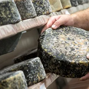 Ashgrove Cheese