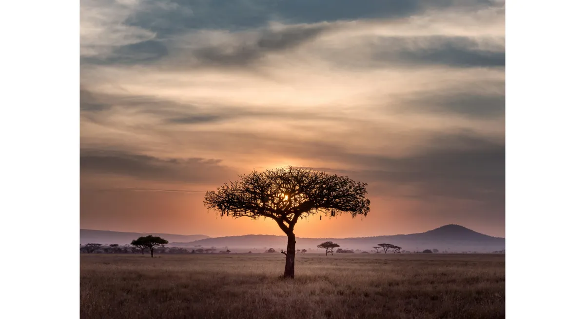 Tanzania Classic Safari