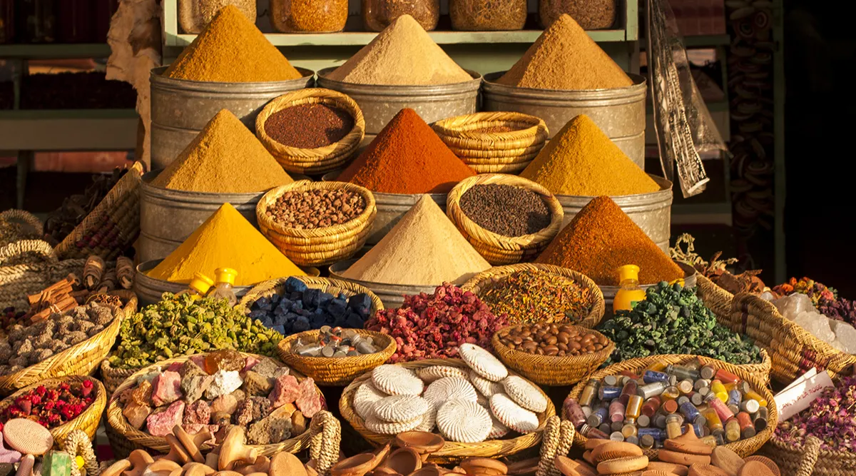 Morocco Explorer