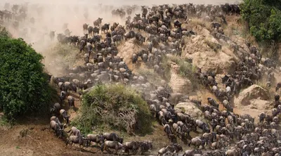 Serengeti National Park