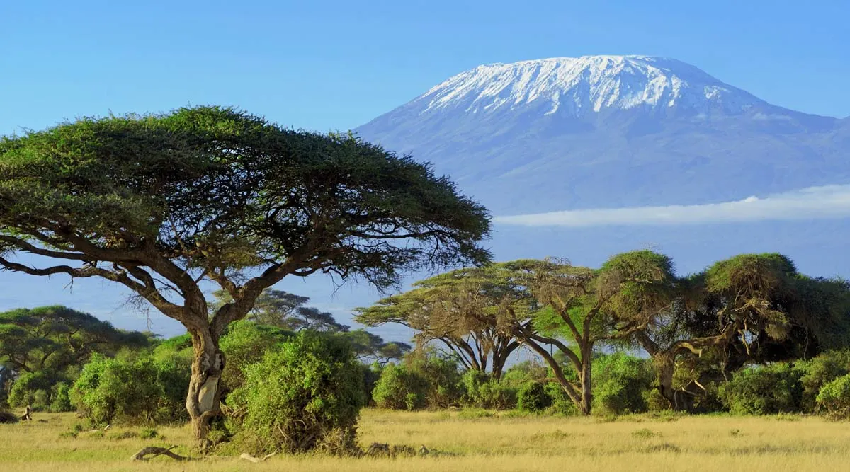 Kenya A la Carte with Zanzibar Extension