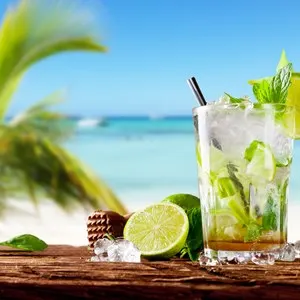 Mojito drink