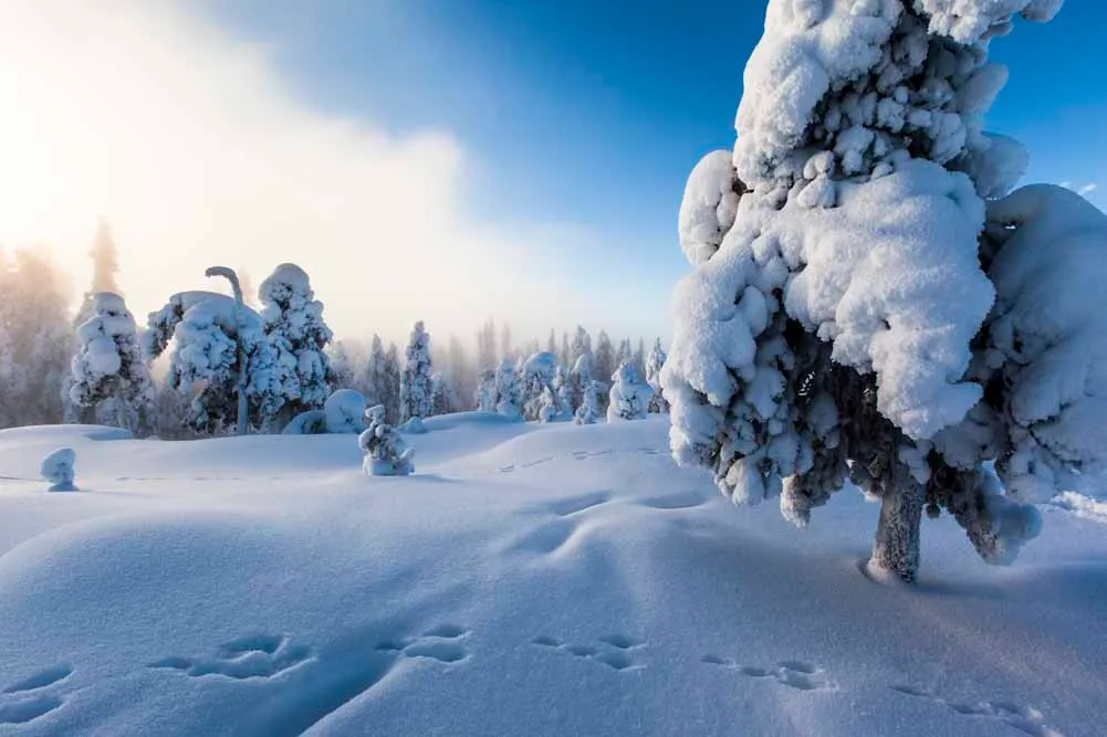 Finland and Sweden Winter Lapland Private Journey