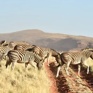 NamibRand Nature Reserve