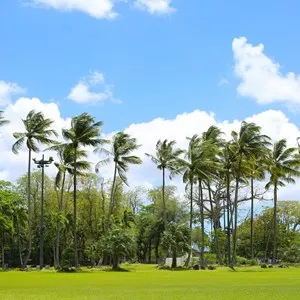 La Savane