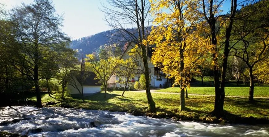 The Magic of the Black Forest Germany Escorted Vacation
