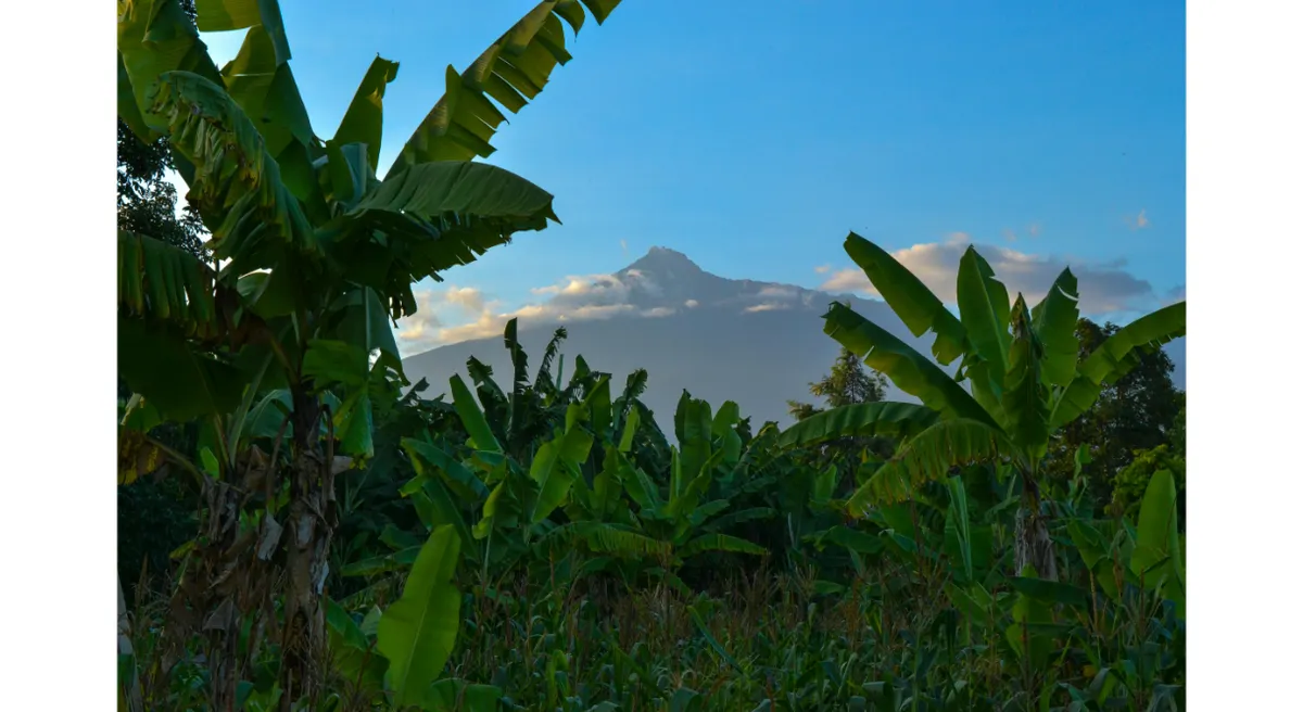 Tanzania Classic Safari Private Journey