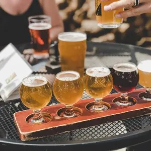 beer tasting