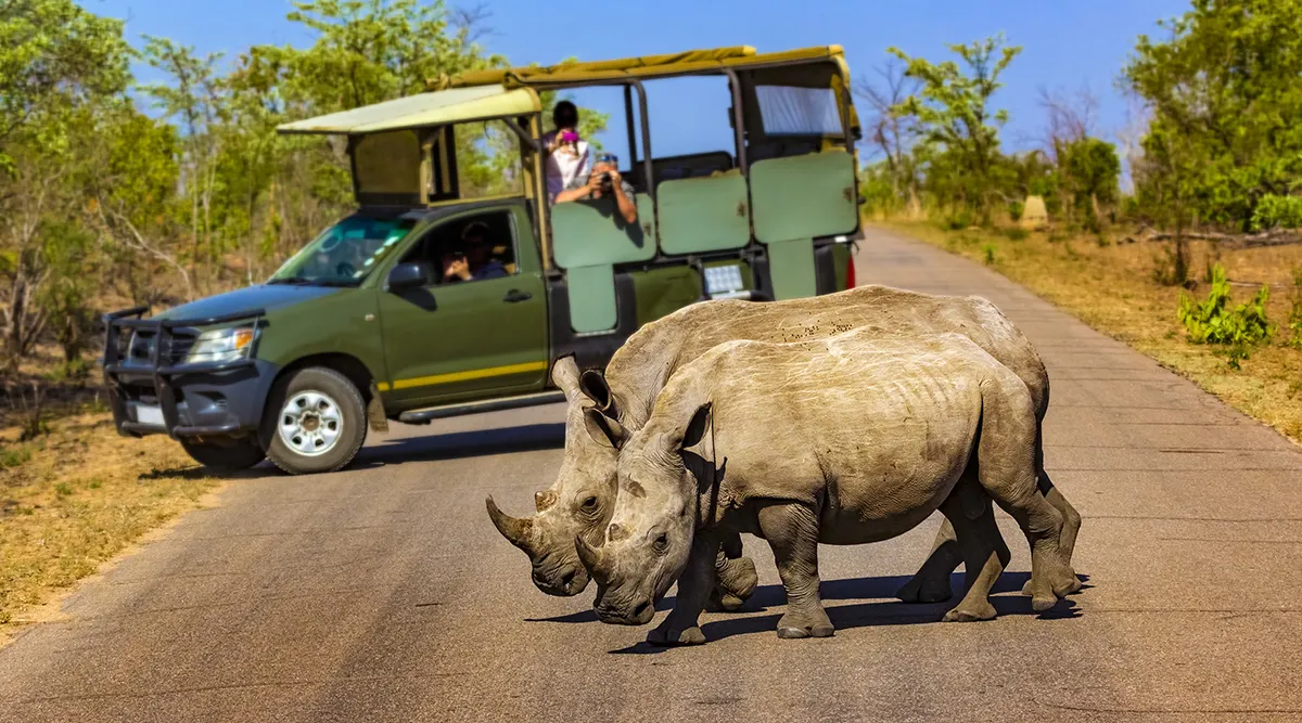 Luxury Kruger Safari