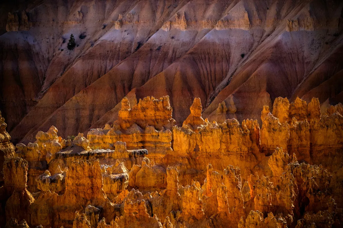 National Parks and Rockies To The Red Rocks Great Rail Journey