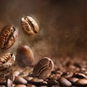 Coast Roast Coffee