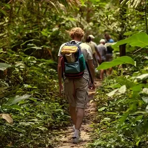 Jungle Land Panama