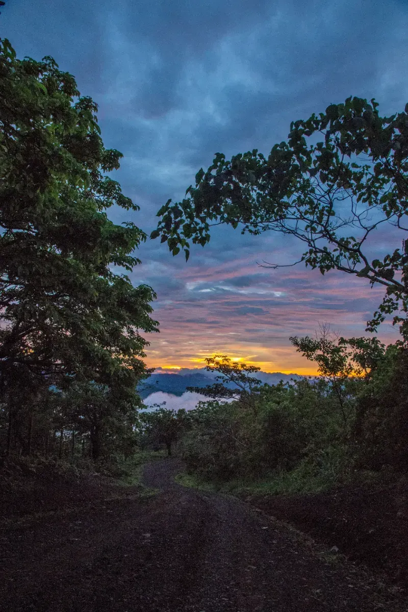 Costa Rica Coast to Cloud Forest Adventure and Relaxation
