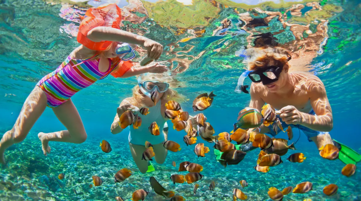 Hawaii Big Island and Maui Family Self Drive Adventure 