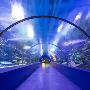 AquaRio