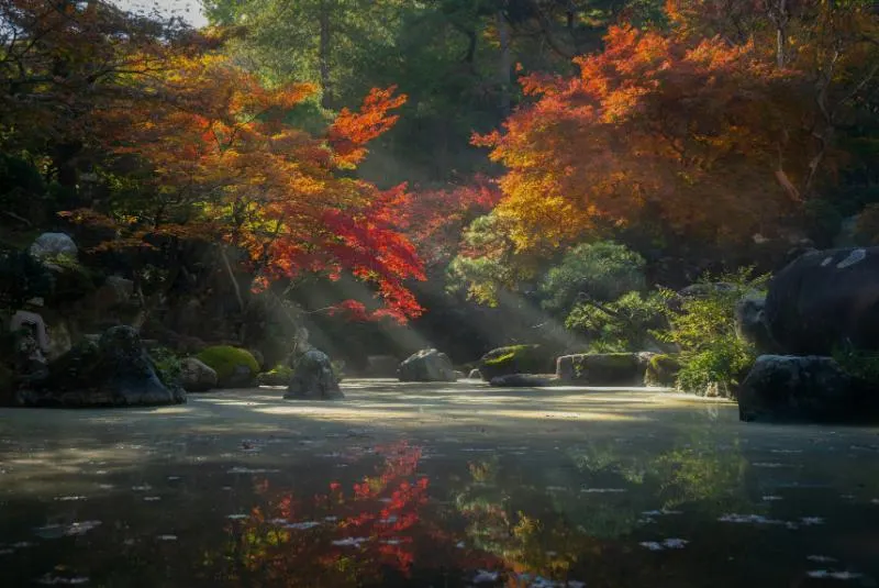 Private Journey to the Gardens of Ireland in Autumn
