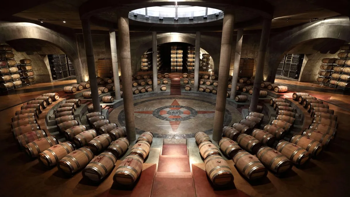 Andean Wine and Culinary Explorer