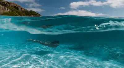 Seychelles to the Serengeti Grand Adventure