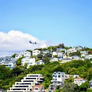 green hill in Wellington