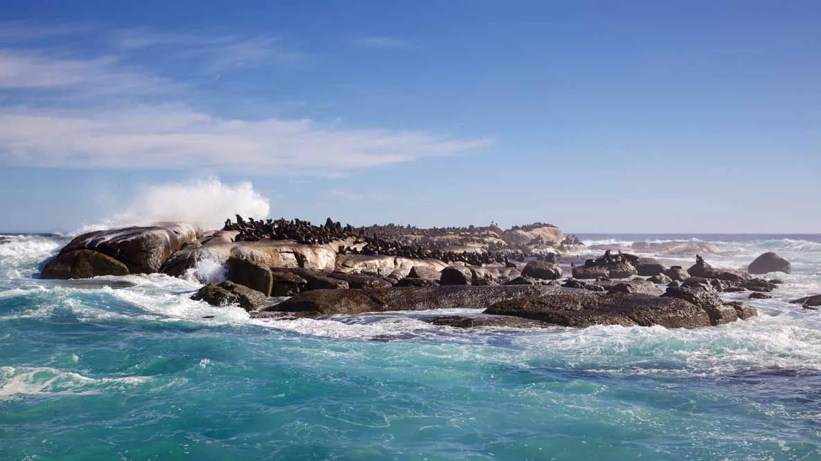 Luxury Cape Town and Winelands