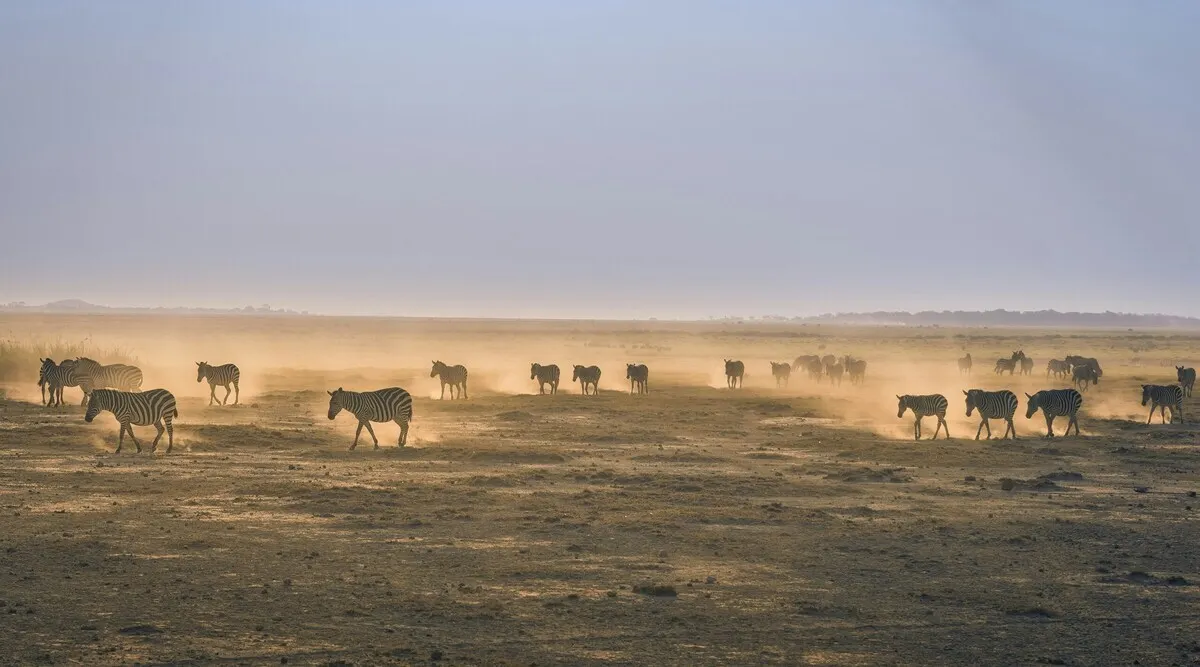 East African Explorer Shared Kenya & Tanzania Safari 