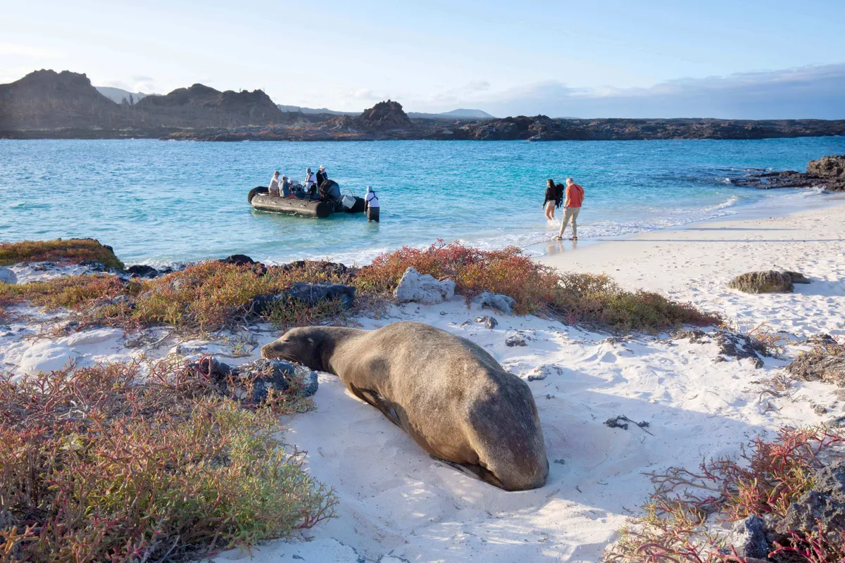 Ecuador and East Galapagos Sea Cruise 