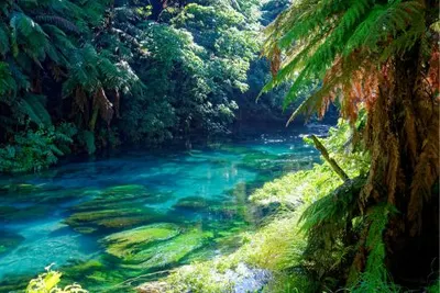 Australia and New Zealand Ultimate Private JourneyImage