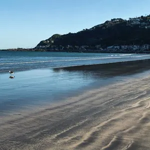 Lyall Bay in earlt morning