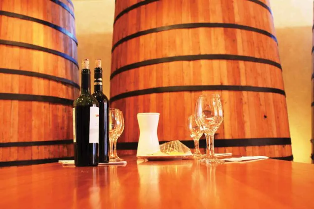 Santiago Wine Route Private Journey