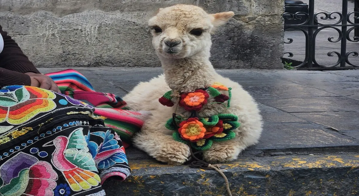 Peru Explorer from Lima to Machu Picchu