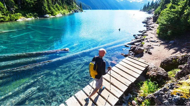 Whistler