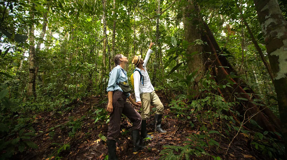 Amazon Expedition Cruise