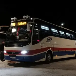 Public Transport