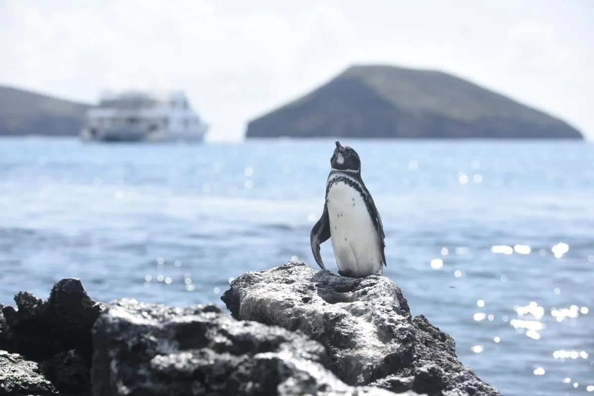 Southeastern Splendor and Secrets Cruise Aboard Galaxy Stella