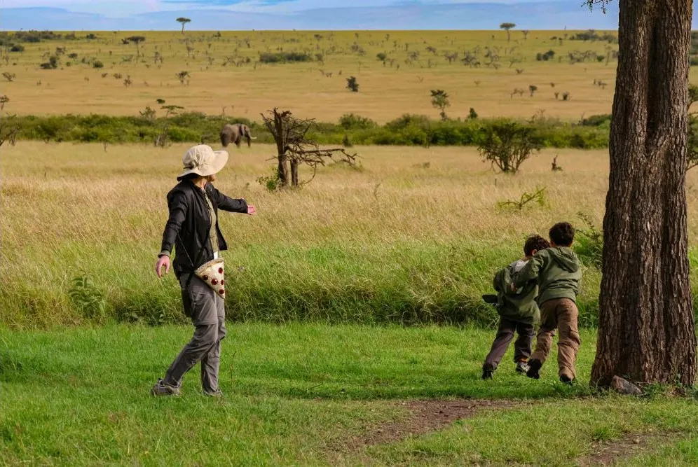 Governors Sky Safari 
