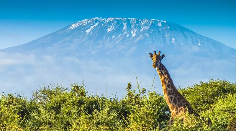 Kilimanjaro National Park